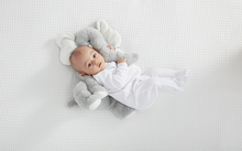 Load image into Gallery viewer, 14&quot; Jellybean Elephant by Baby Ganz
